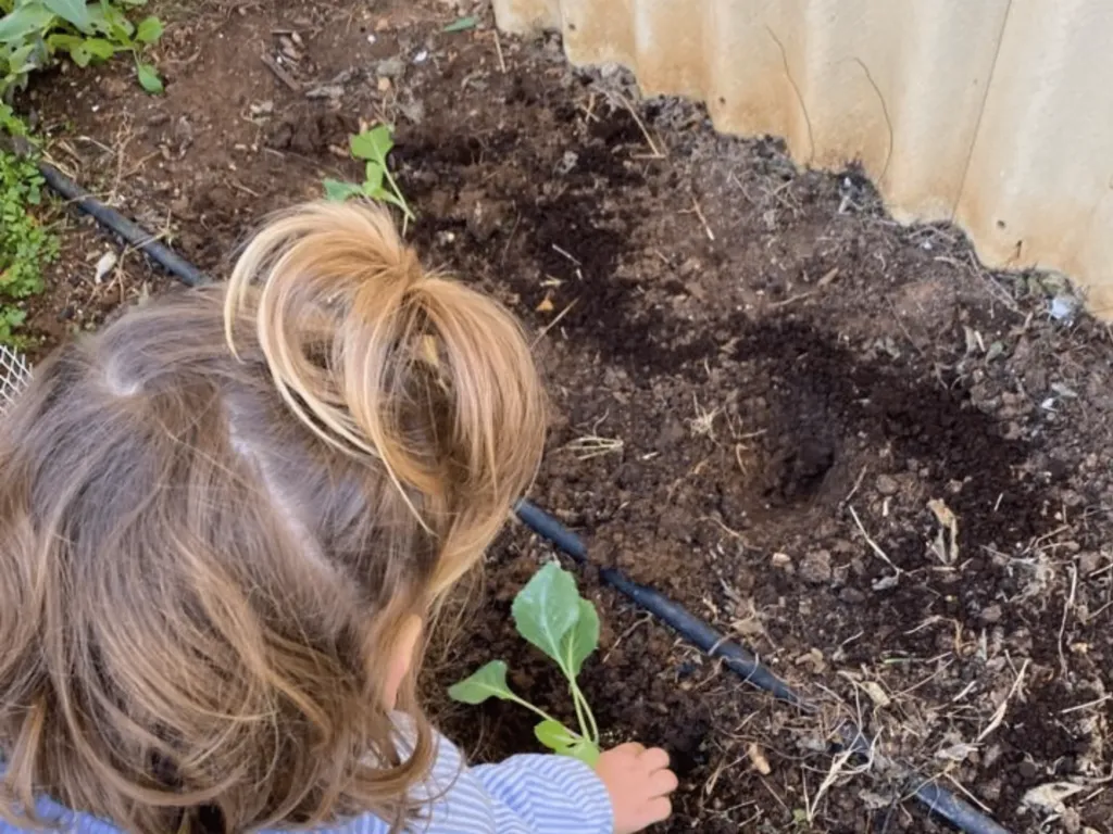 Instalaciones del centro de educación infantil Bombonets en Dénia