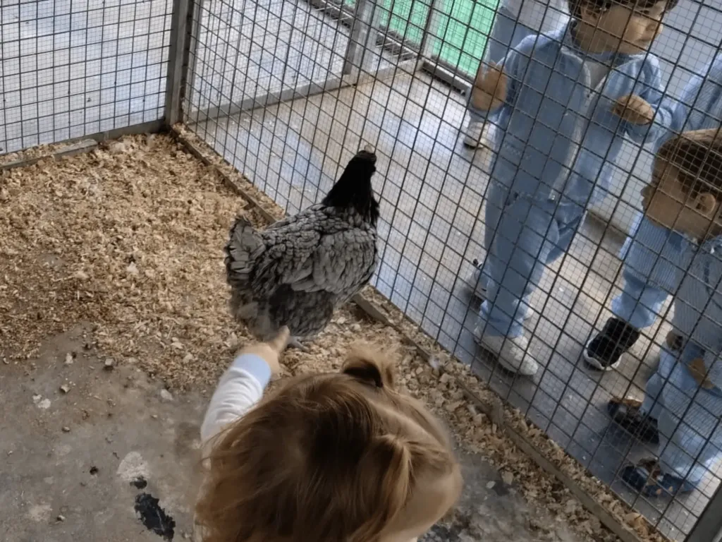 Instalaciones del centro de educación infantil Bombonets en Dénia