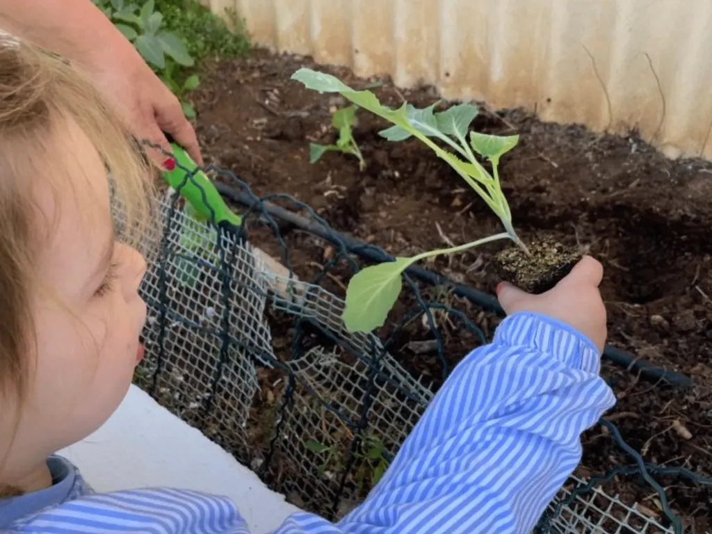Instalaciones del centro de educación infantil Bombonets en Dénia
