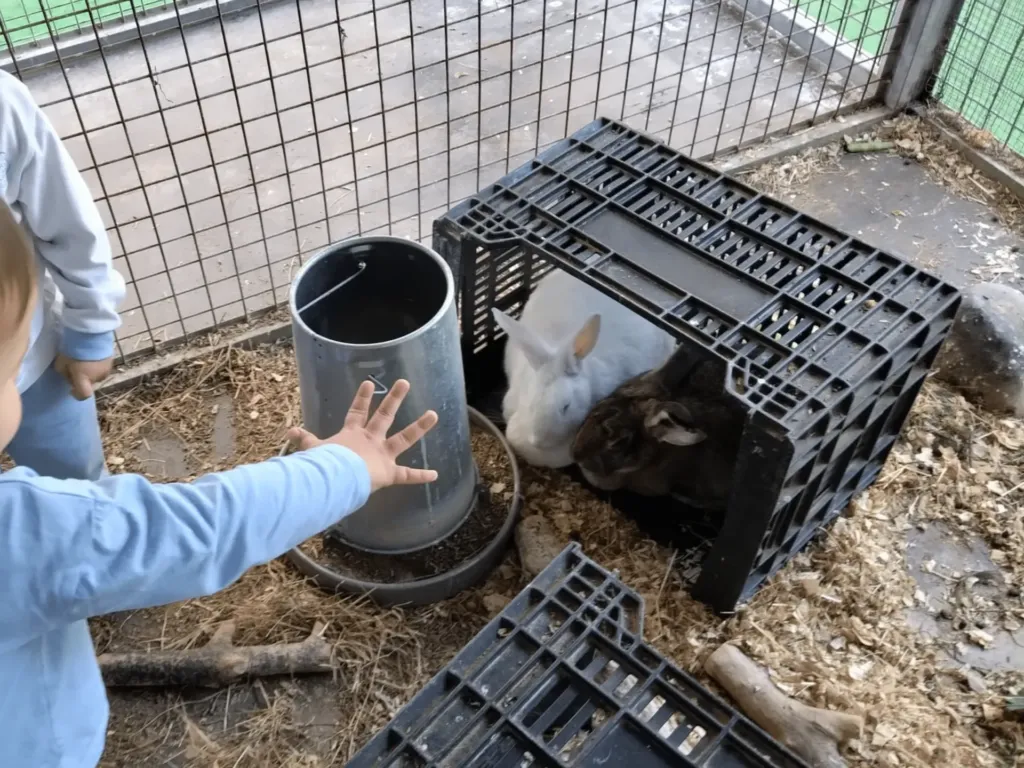 Instalaciones del centro de educación infantil Bombonets en Dénia