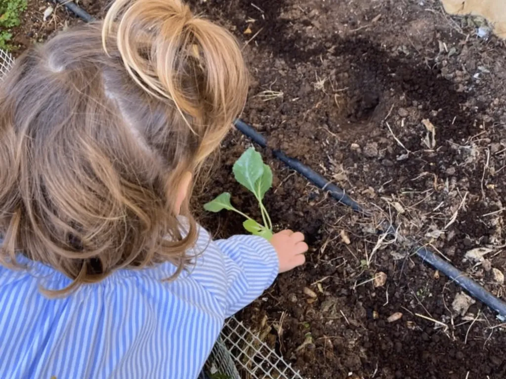 Instalaciones del centro de educación infantil Bombonets en Dénia