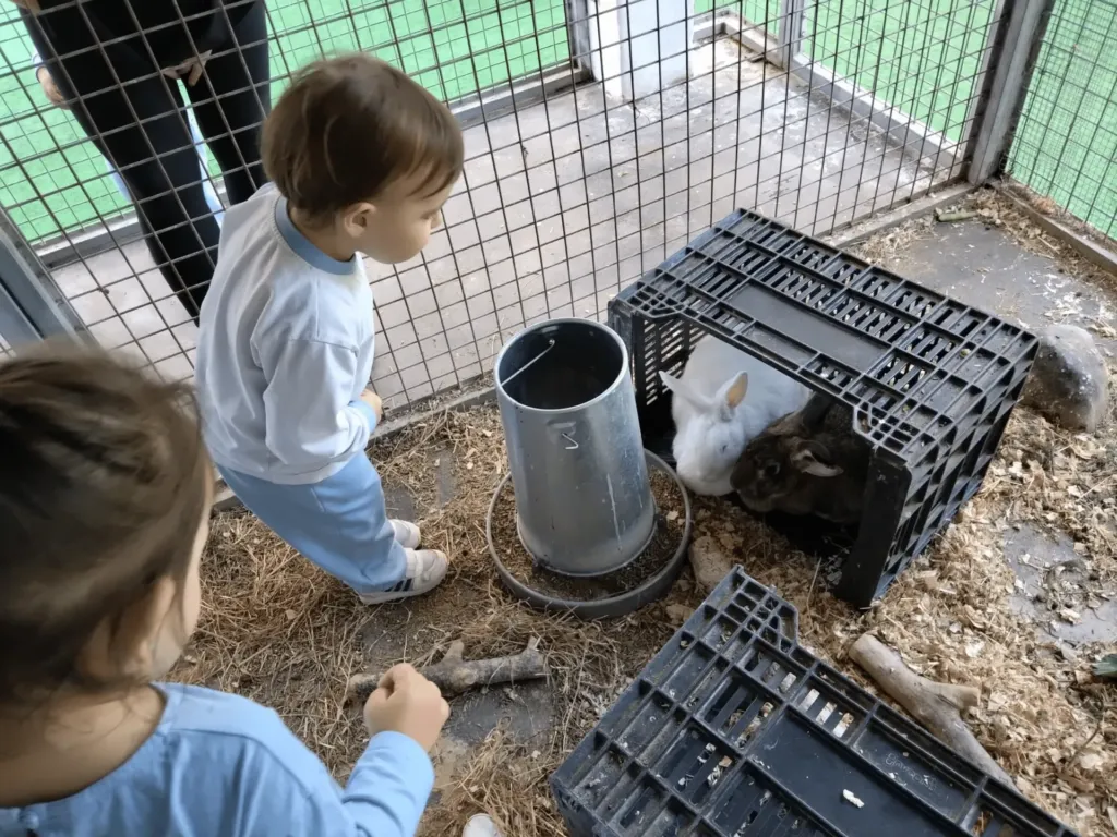 Instalaciones del centro de educación infantil Bombonets en Dénia