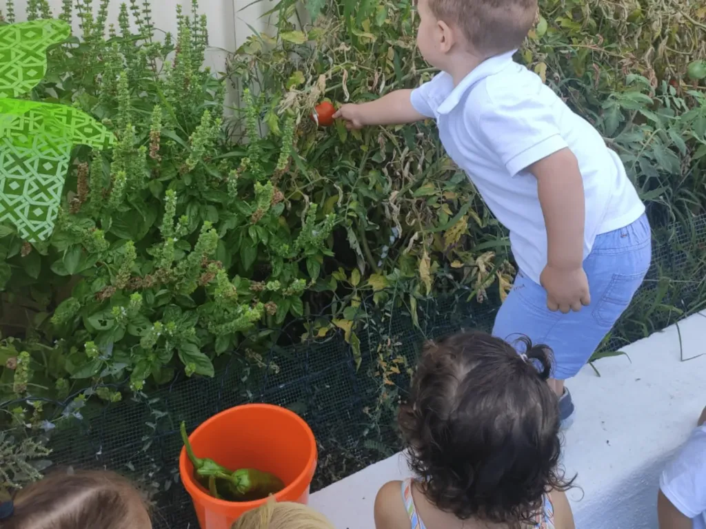 Instalaciones del centro de educación infantil Bombonets en Dénia