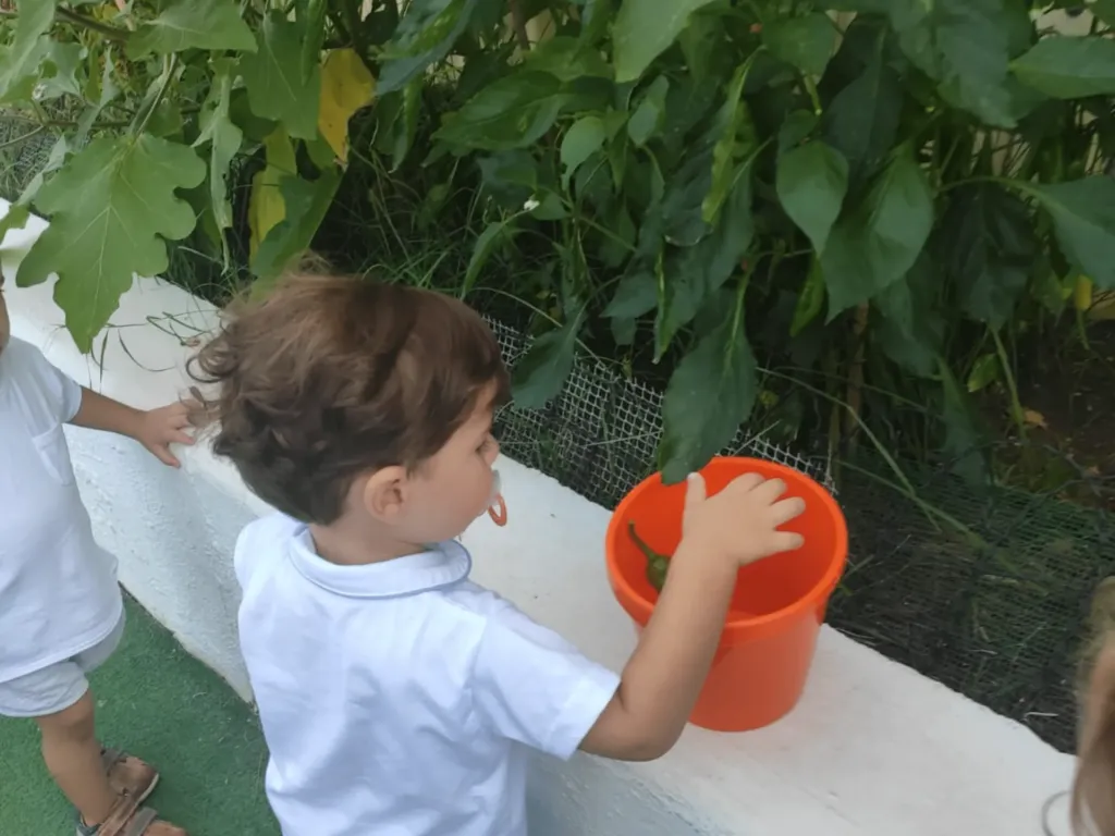 Instalaciones del centro de educación infantil Bombonets en Dénia