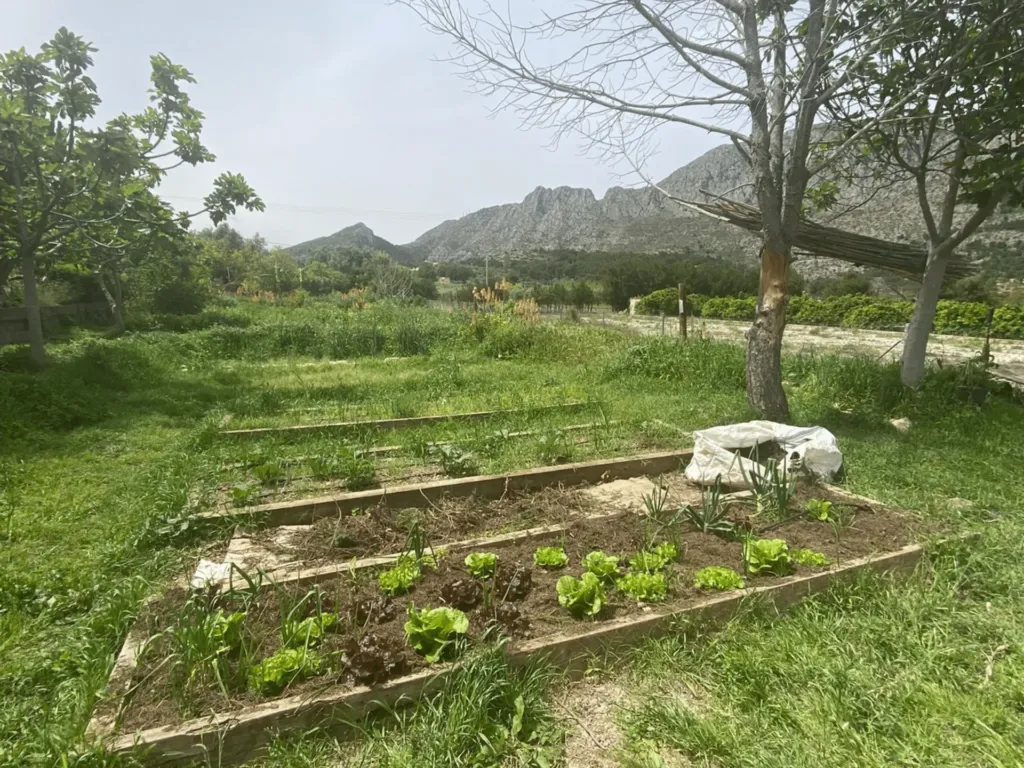 Instalaciones del centro de educación infantil Bombonets en Dénia