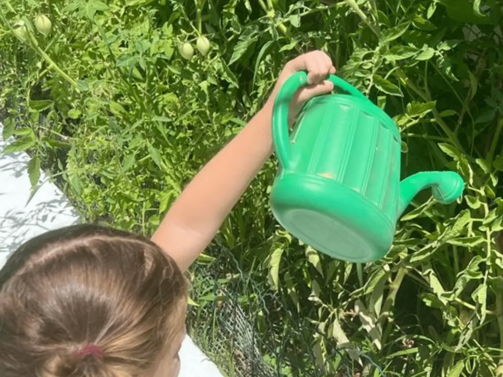 Instalaciones del centro de educación infantil Bombonets en Dénia