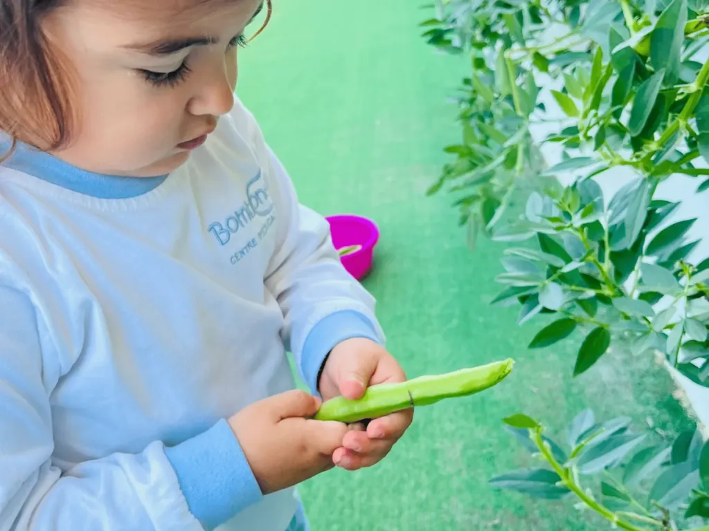 Instalaciones del centro de educación infantil Bombonets en Dénia