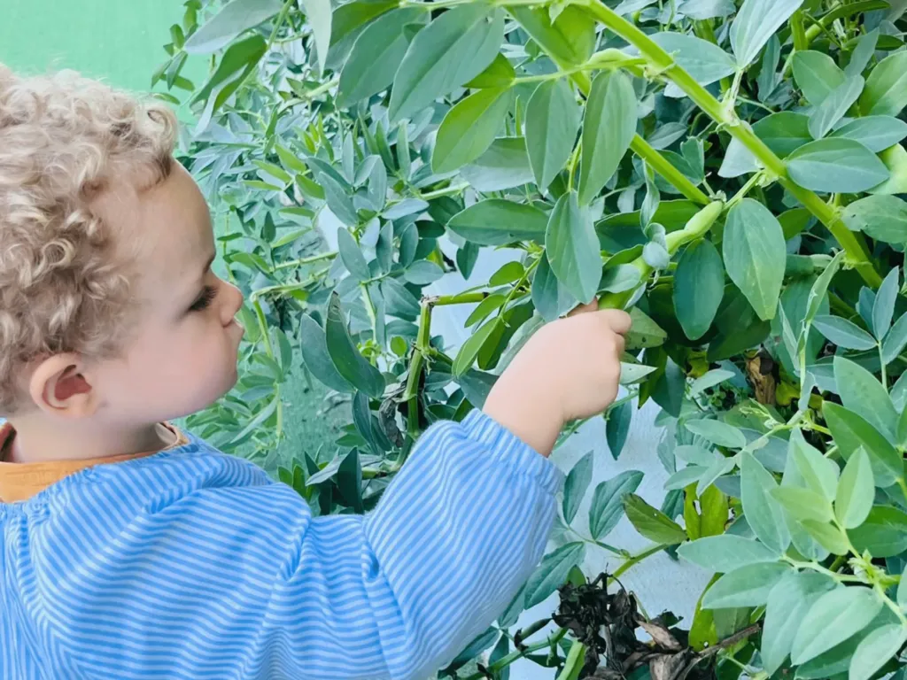 Instalaciones del centro de educación infantil Bombonets en Dénia
