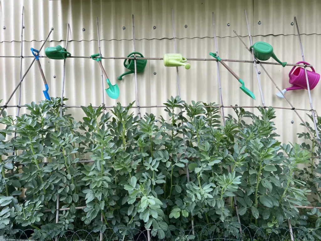 Instalaciones del centro de educación infantil Bombonets en Dénia